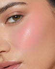 Image de la couleur du Fard à joues et lèvres en crème ARTIST Isabelle M300