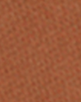 image de la couleur de la poudre bronzante 730