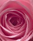 Sérum LA ROSA ARTIST