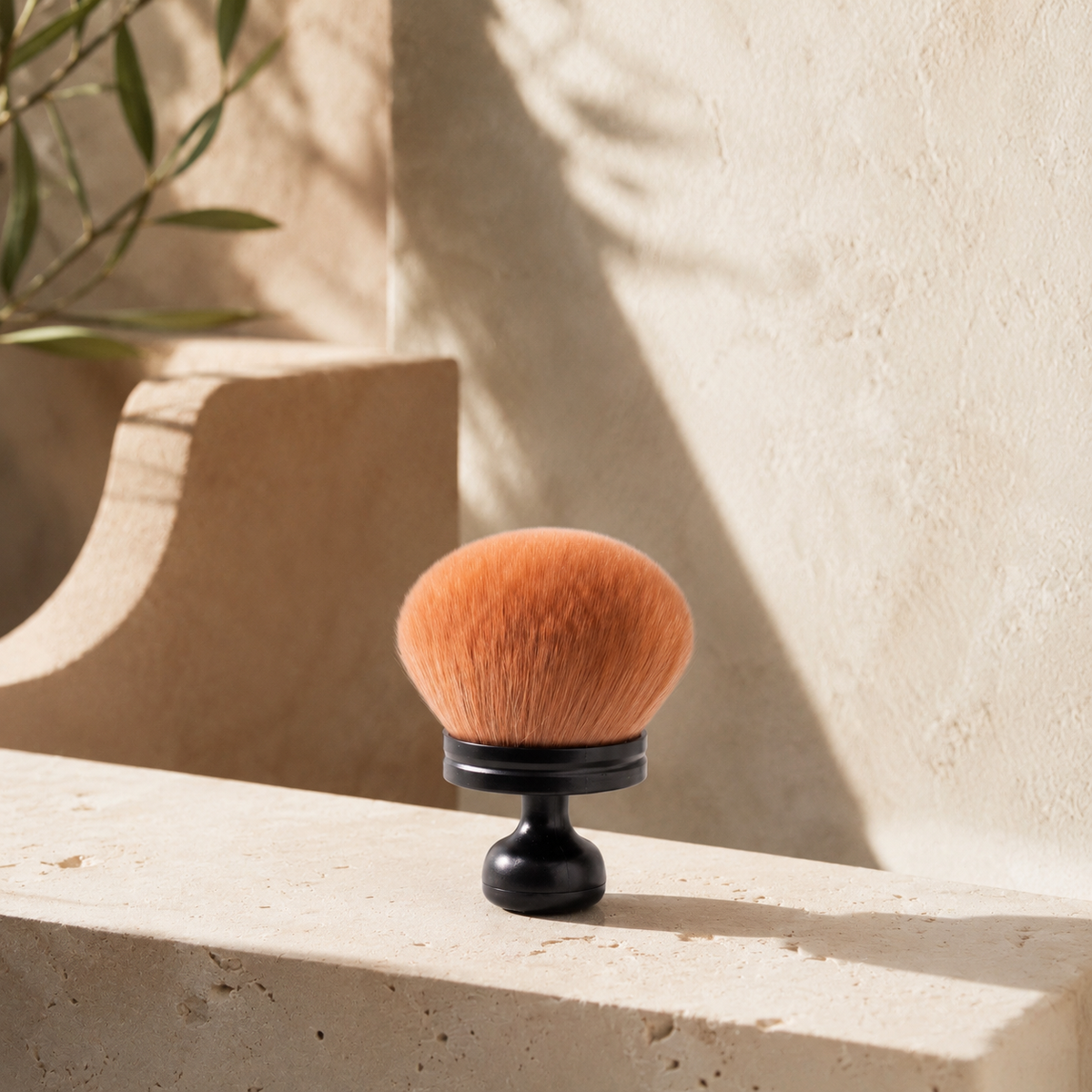image de la brosse pour le corps poudre