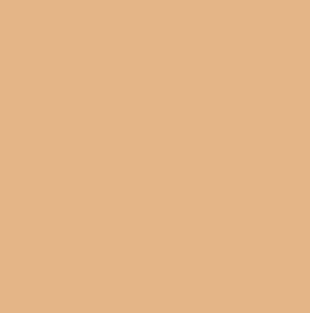 ARTIST Mineral Compact Foundation