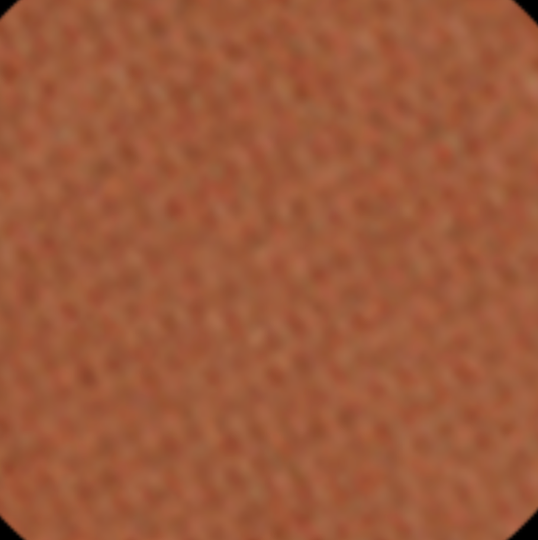 image de la couleur de la poudre bronzante 730