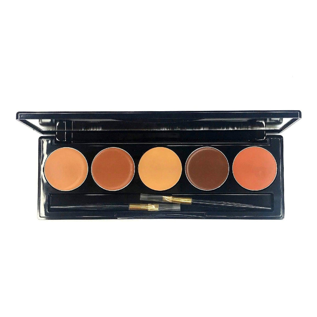 image de la Palette correct ARTIST foncé